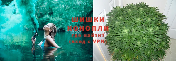 крисы Горняк