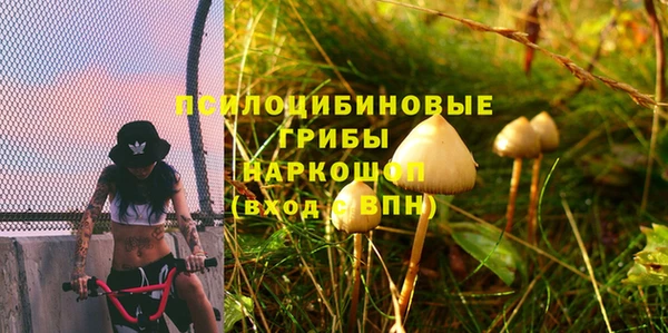 бошки Бугульма